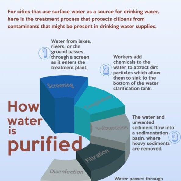 WATER-INFOGRAPHIC-copy-3-scaled-1170x2018-1